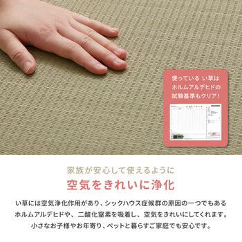 新商品が続々！ 畳マットレス 約100×200cm 貴船 きふね い草 4つ折り この夏最後のチャンス！