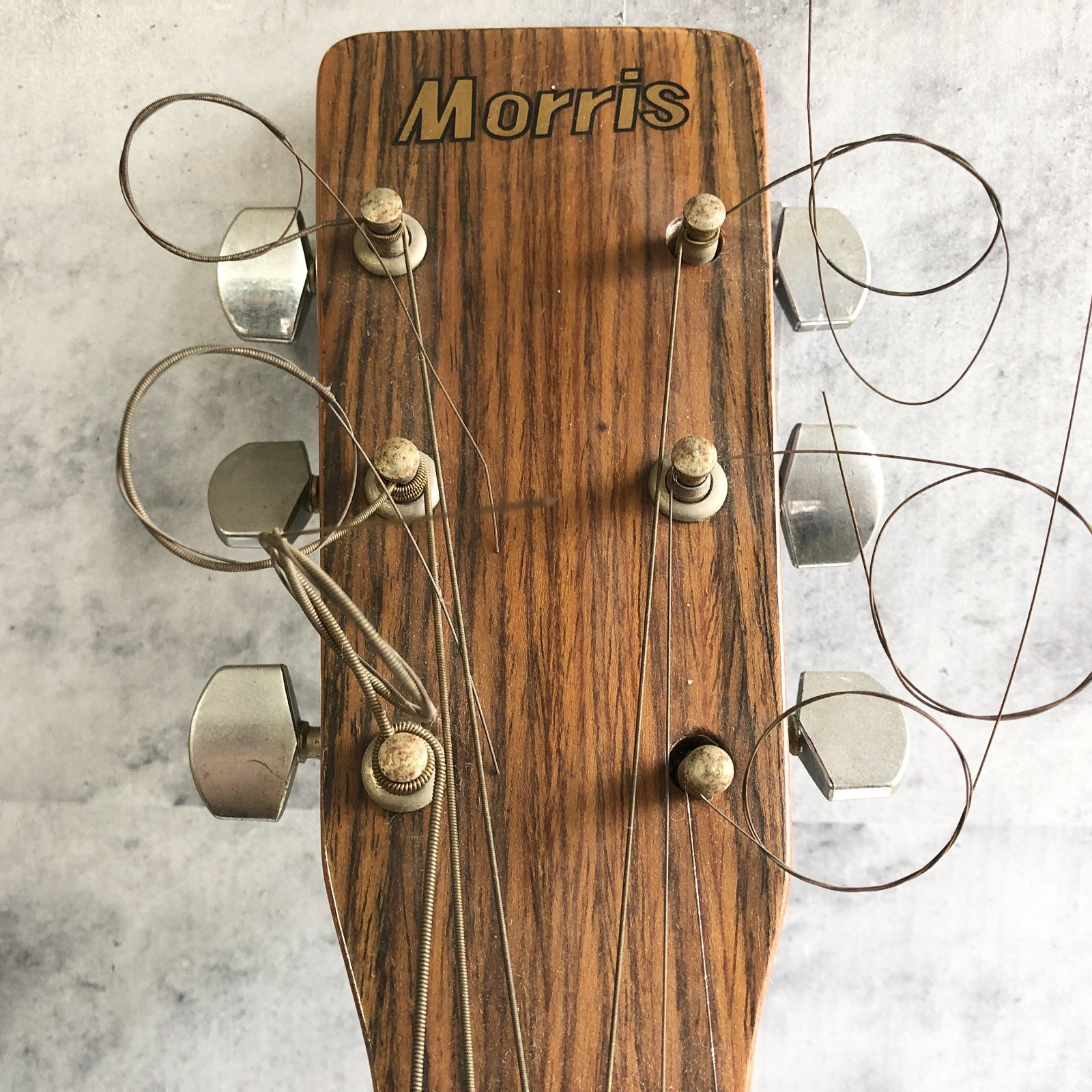 Morris モーリス アコースティックギター MD-502 アコギ - メルカリ