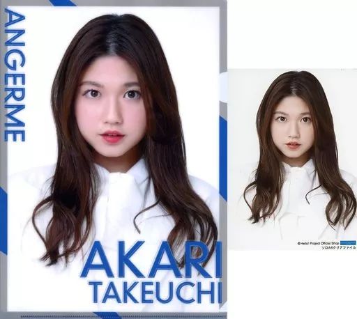 2287 アンジュルム 竹内朱莉 生写真 17枚セット UF Goods Land お知らせ :: ANGERME CONCERT 2023 BIG LOVE 竹内朱莉