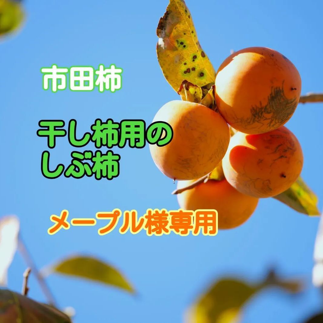 干し柿用のしぶ柿 メープル様専用 - メルカリ
