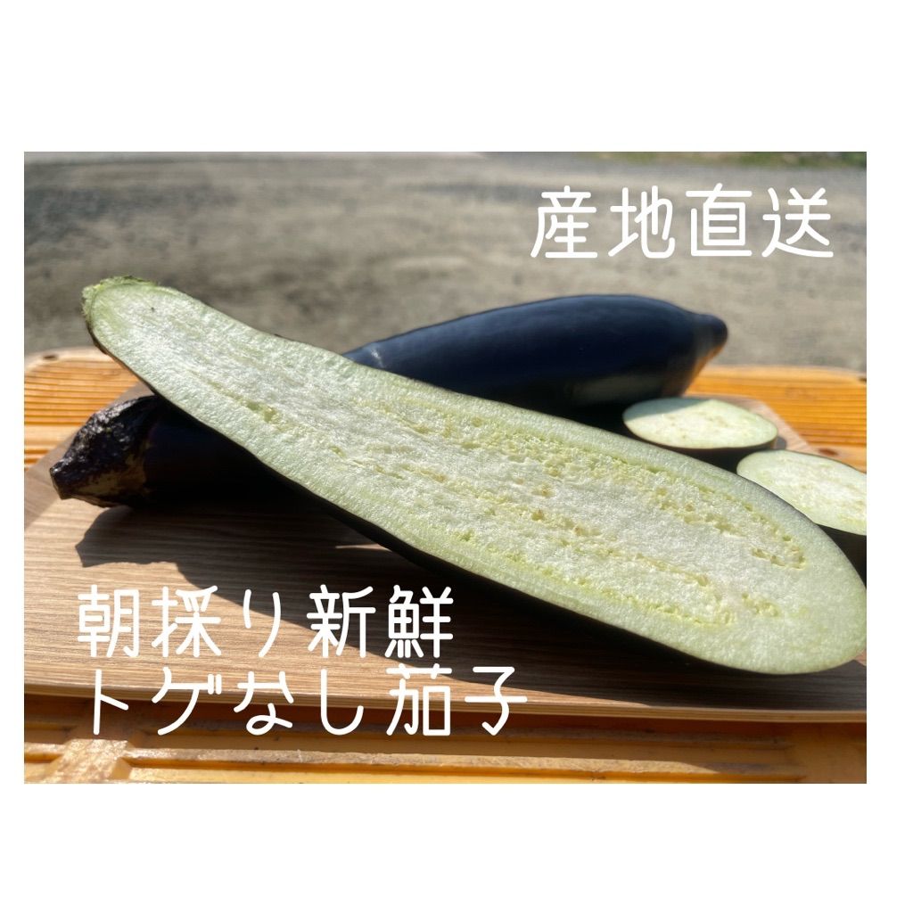 クール便 10kg 産地直送 農家直送 ハウス 朝採り 新鮮野菜 茄子 ナス ...