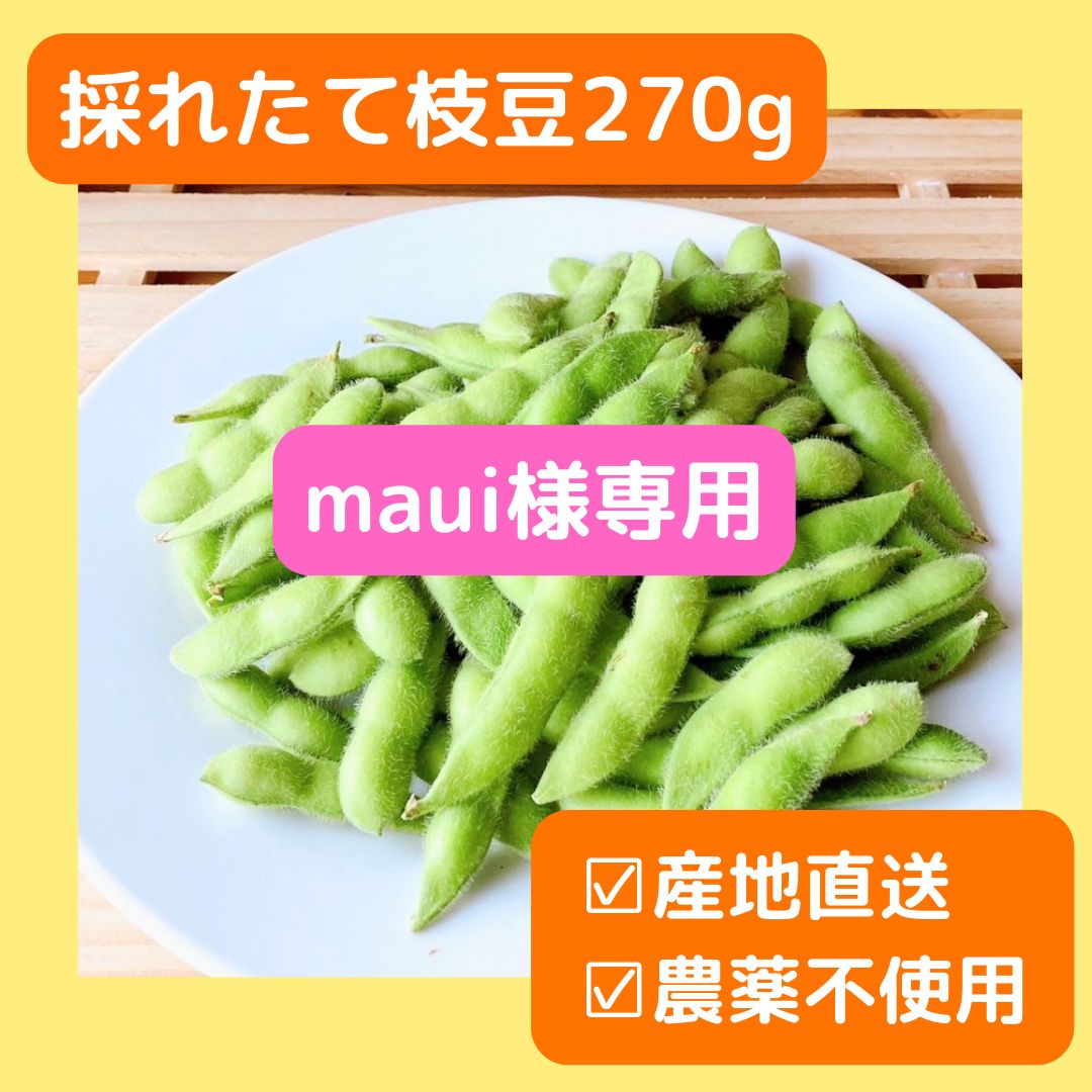 maui様専用 大人女性の - 野菜