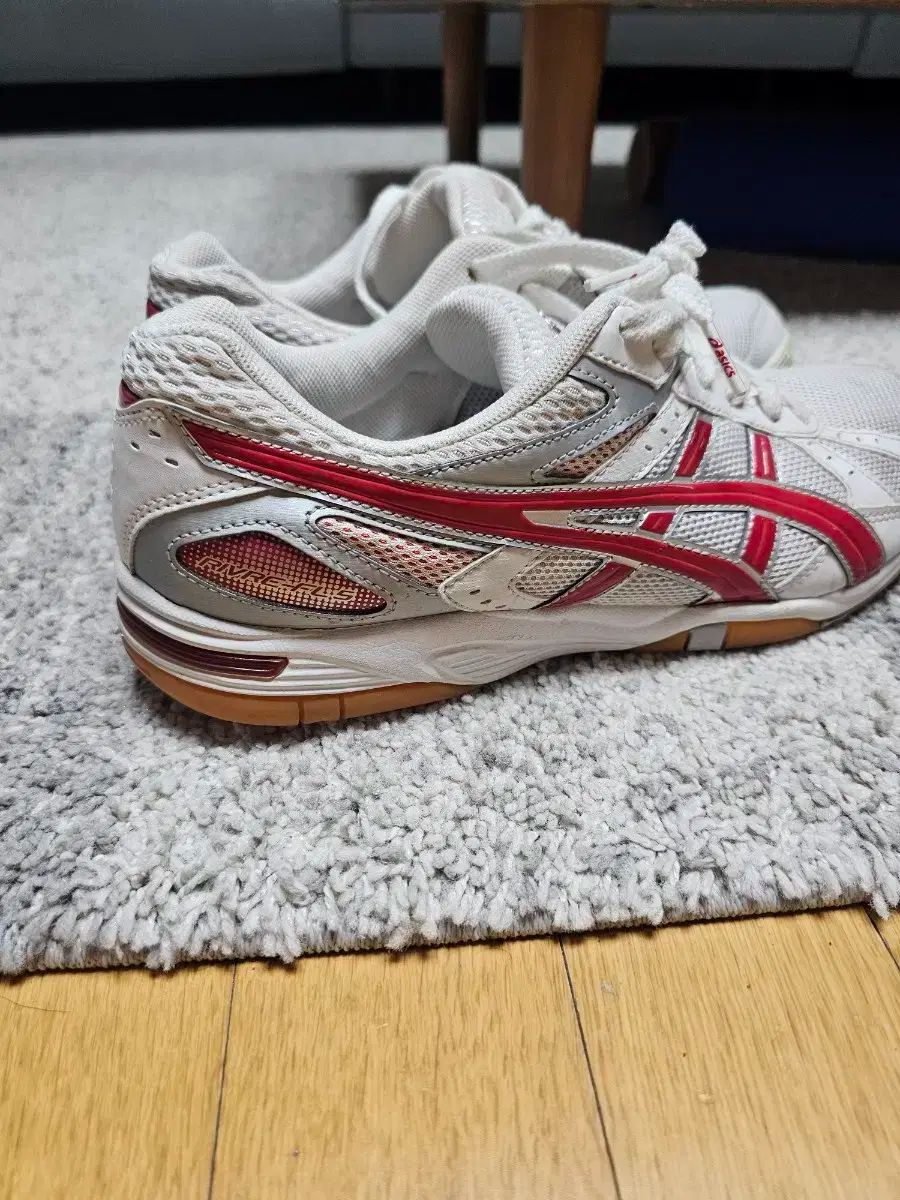 アシックス スポーツ大学入試