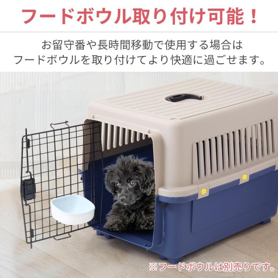中型犬 犬