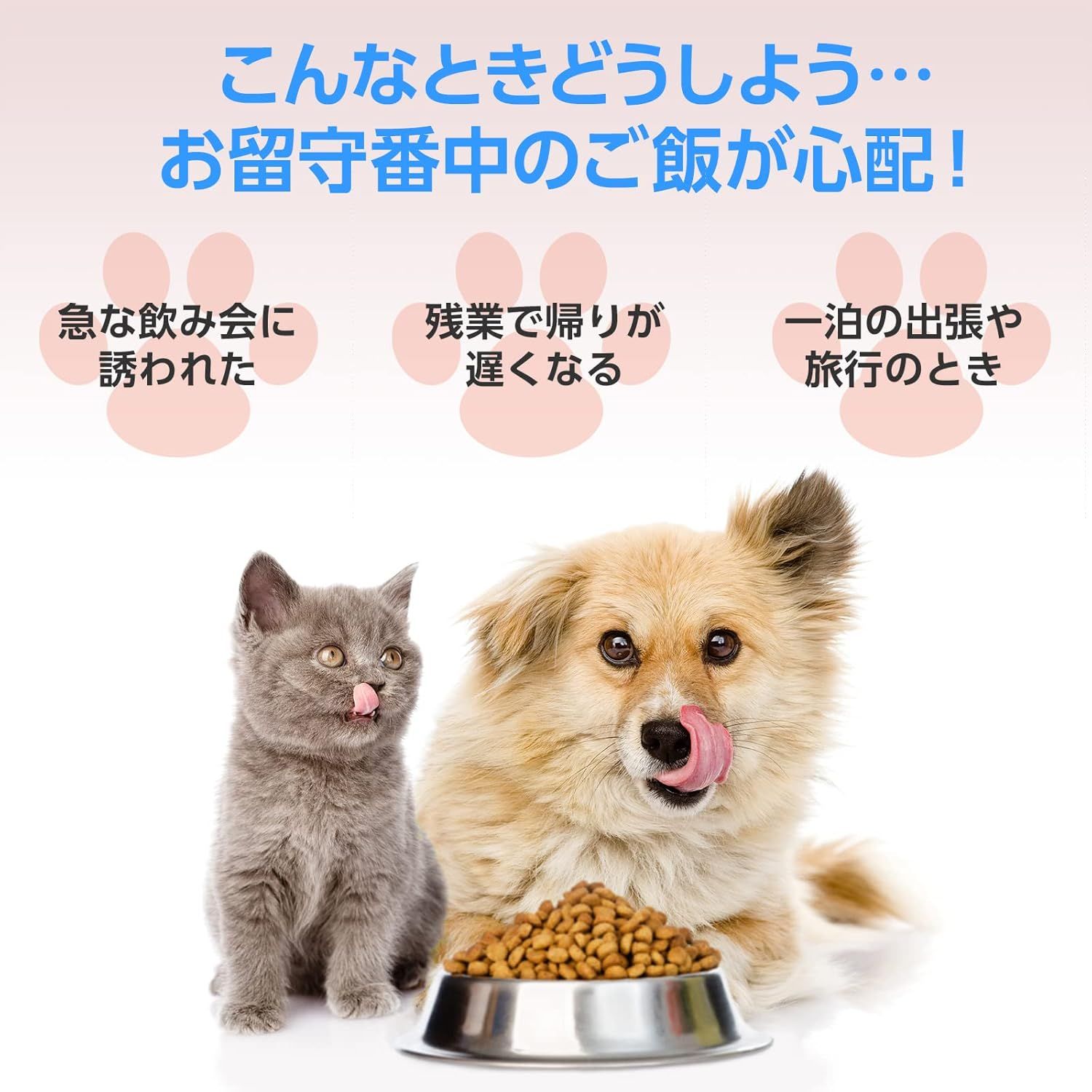 犬 自動餌やり機