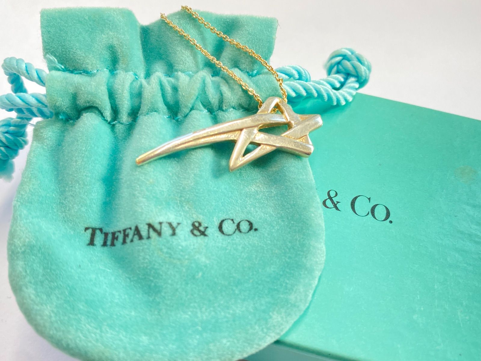 TIFFANY - Co. ティファニー パロマ ピカソ シューティングスター ペンダント ネックレス シルバー