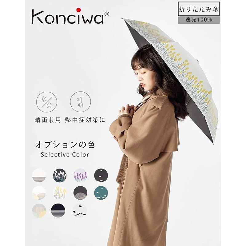 マロンキッズ 七田 しちだ 七田式教育 マロンキッズ12ヶ月分