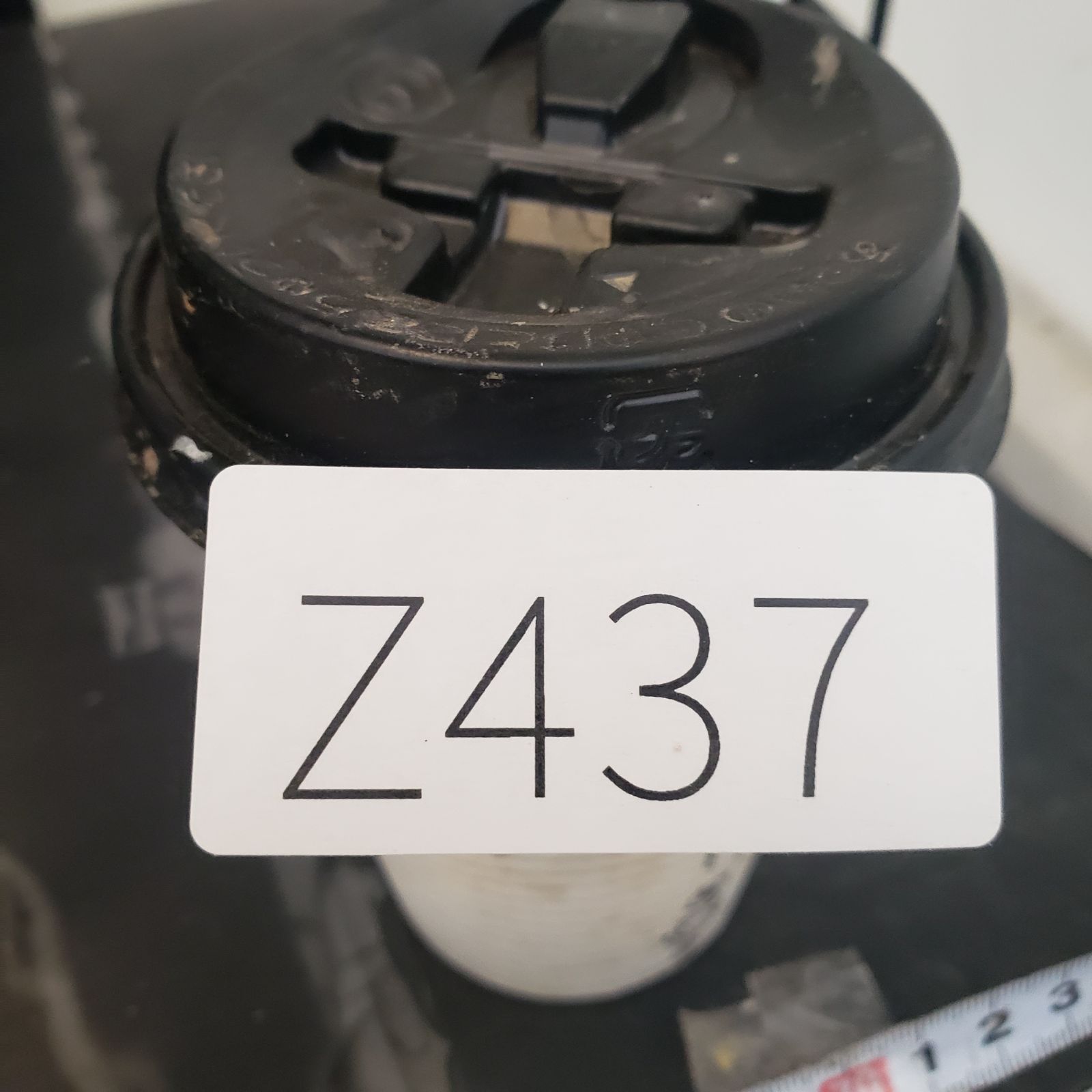 Z437 最新到着 Commiphora カタフピュア M 現地球 抜き苗 灌木系 塊根植物 コミュフォラ カタフピュア YUZUMIYA_COM