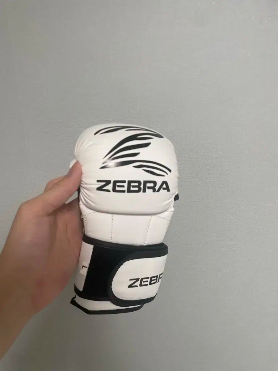 シマウマ mma グローブ 売ってます 1 企業向け