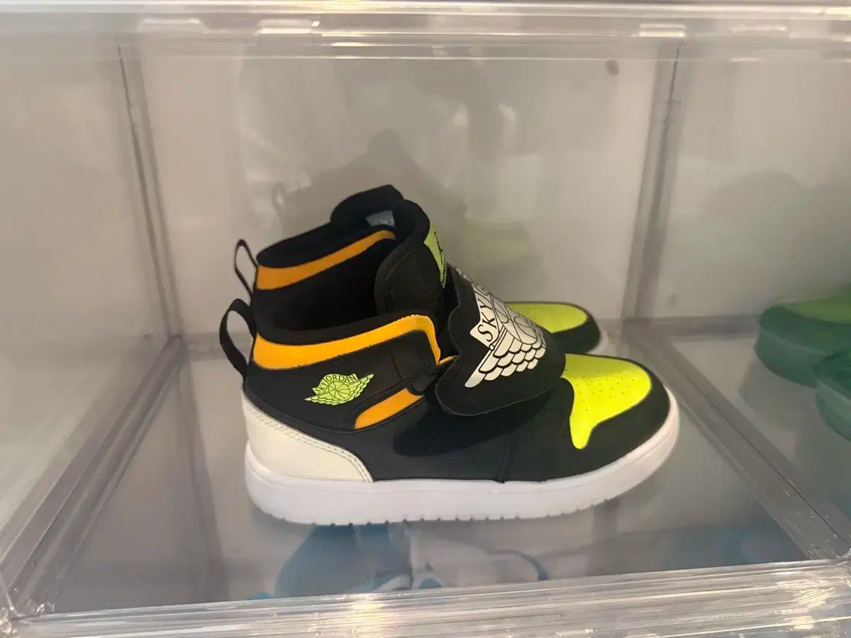 スカイジョーダン