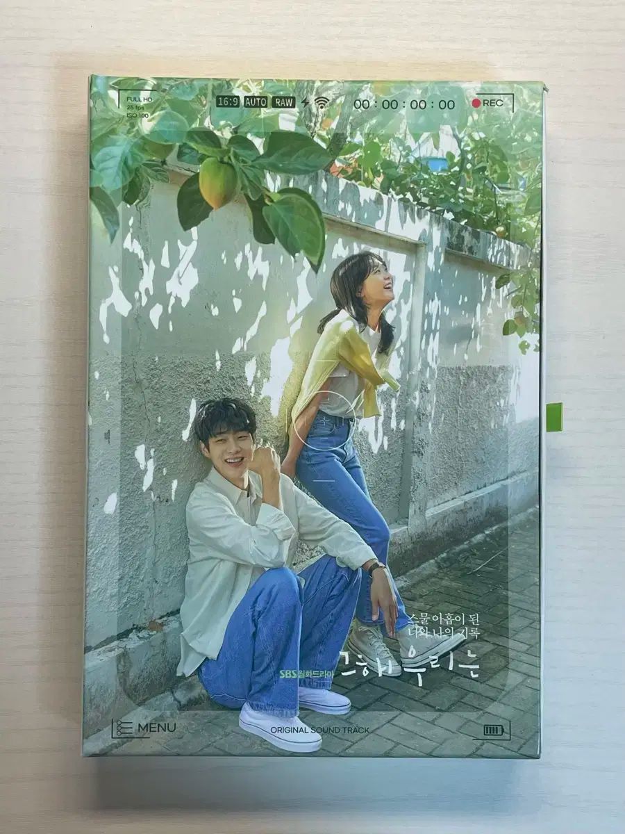それら 損傷 私たち OST アルバム