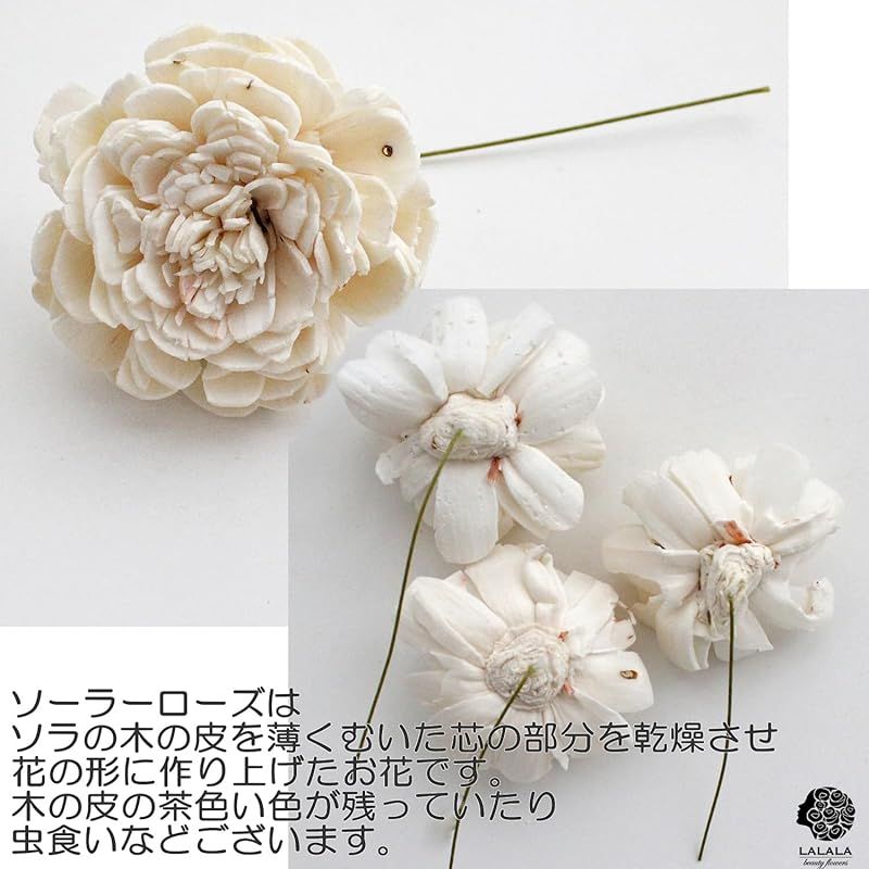 袴 振袖