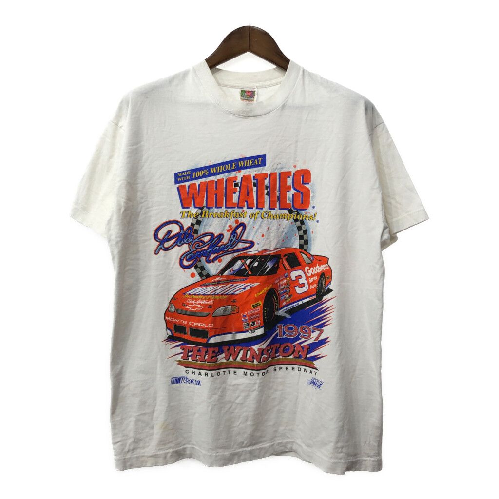 90年代 FRUIT OF THE LOOM フルーツオブザルーム NASCAR ナスカー 