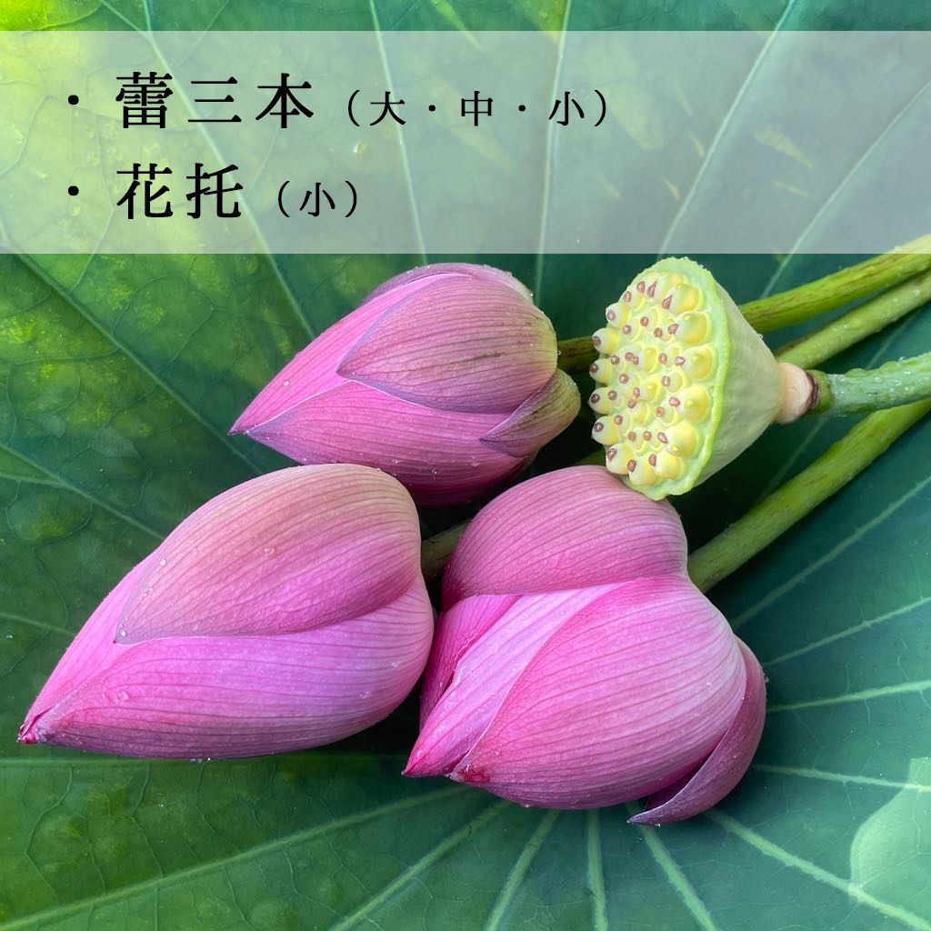 ハスの花 ベトナム式ミ二ブーケ 「誠蓮」 - メルカリ