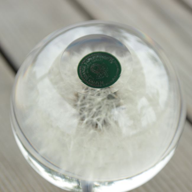 ハフォドグレンジHafodGrangeフラワーペーパーウエイトLセイヨウタンポポ ハフォドグレンジHafodGrangeフラワーペーパーウエイトL