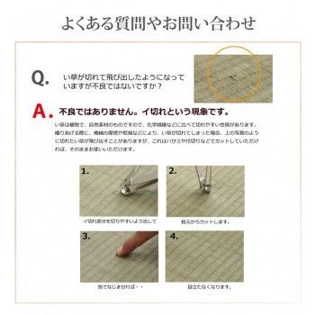 純国産い草 上敷き カーペット 双目織 「松」 団地間4.5畳 約255×255cm 1010030011402