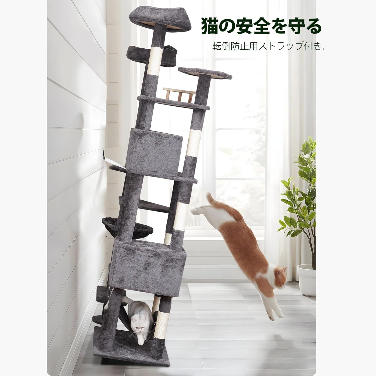 猫 ハウス