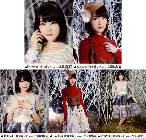 乃木坂46 生写真　生田絵梨花　命は美しい　コンプ 乃木坂46 乃木坂46 生写真 生田絵梨花 命は美しい コンプ 生写真 生田