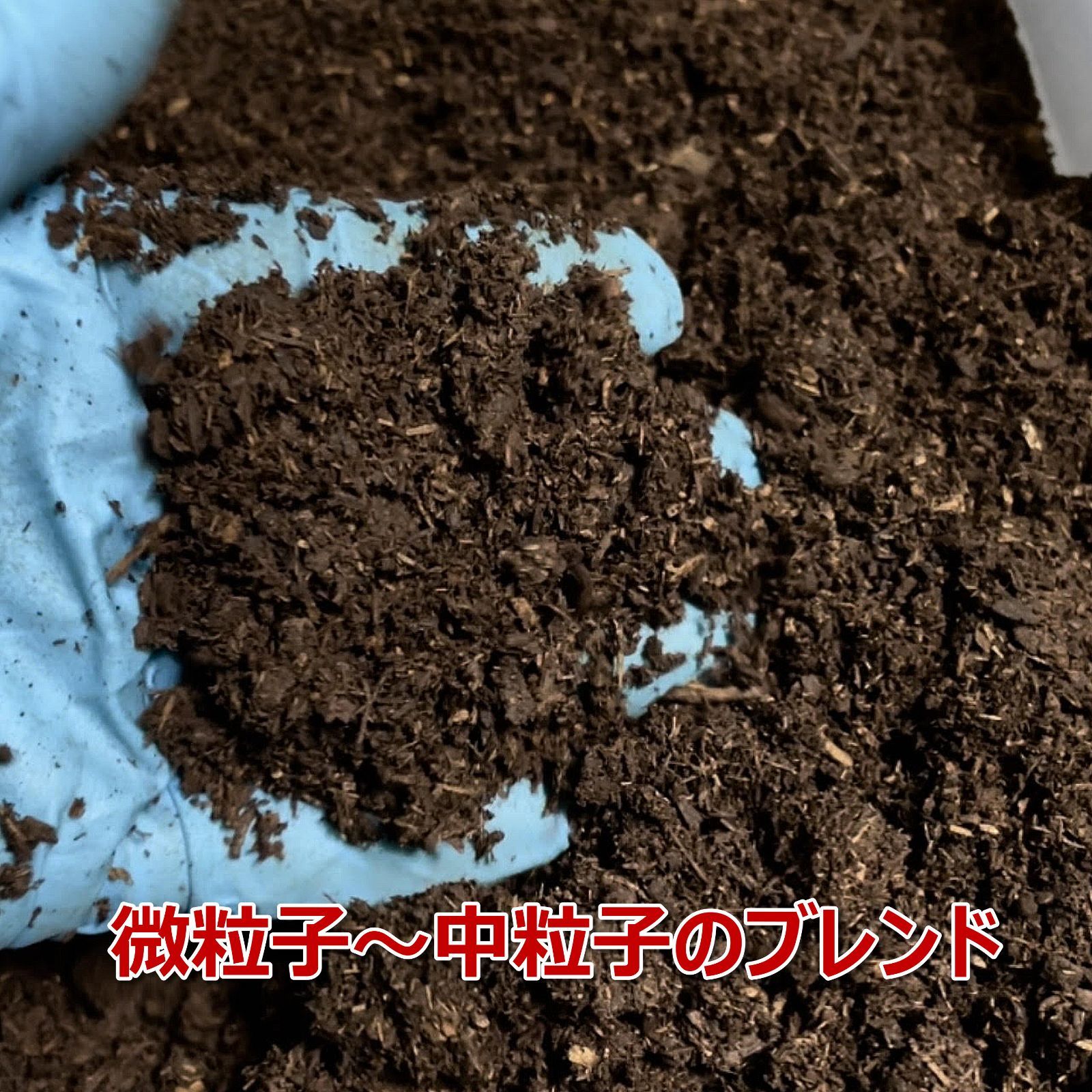 のサムネイル