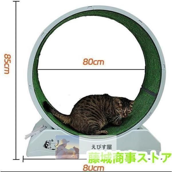 ロック装置内蔵