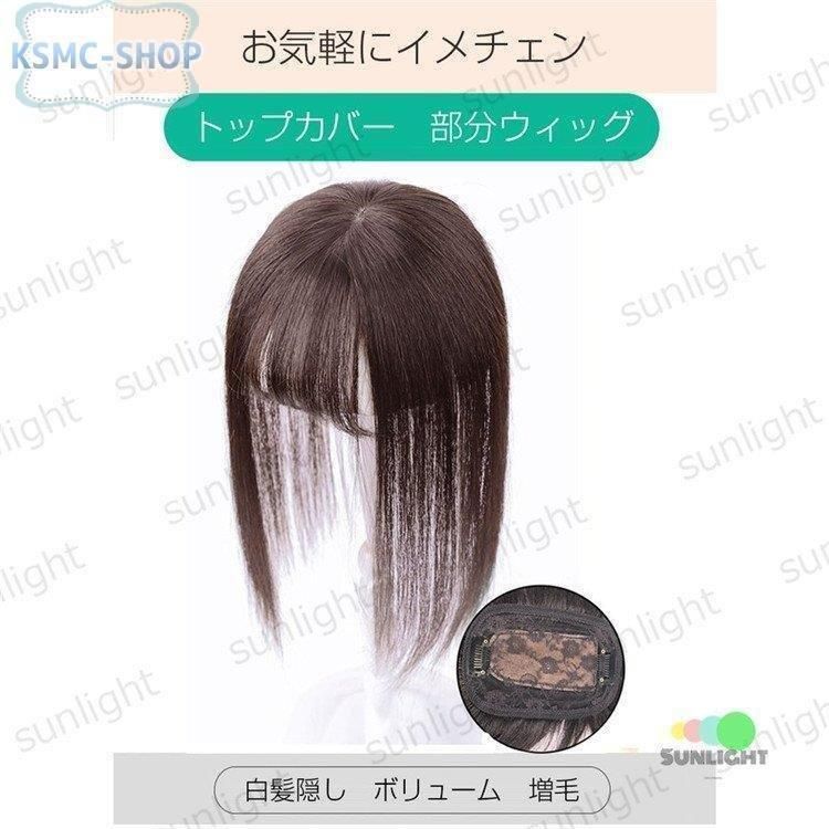 部分ウィッグ