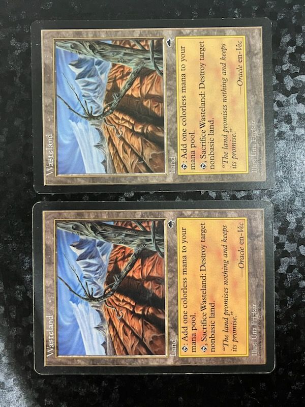 数量は多】 MTG】 不毛の大地/Wasteland(英語版) （土地） の