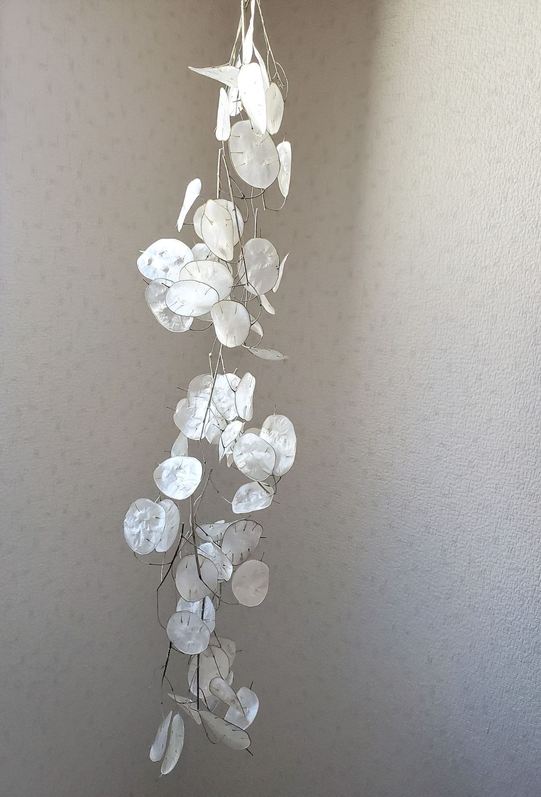 ルナリア舞うスモークツリー のフライングガーランド ドライフラワー