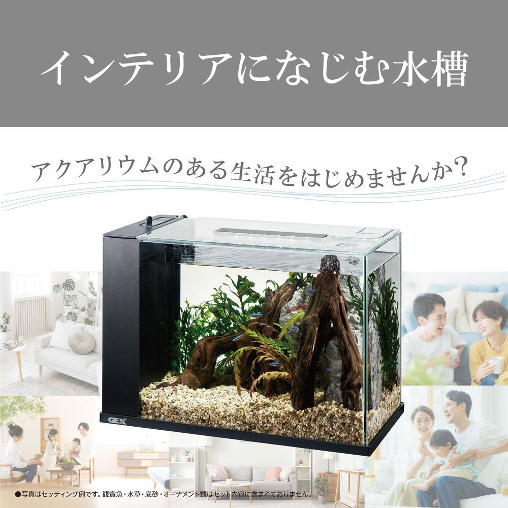 GEX アワーズ