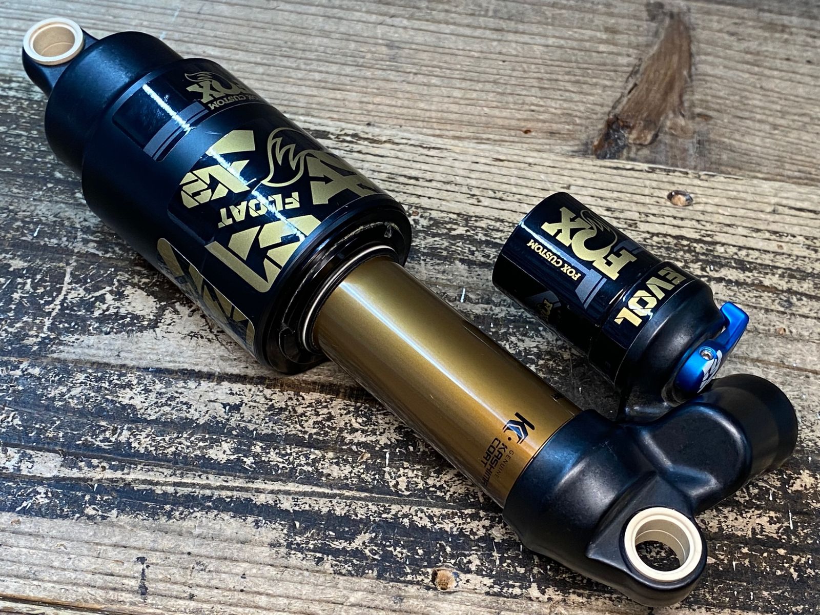 EVOL カシマコート