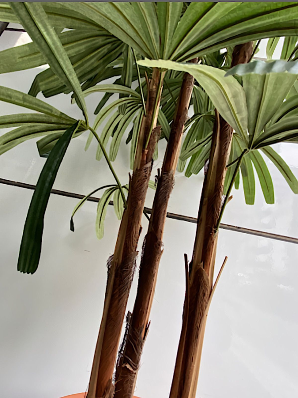 光触媒 人工観葉植物 ウォールグリーン フェイクグリーン シュロチク