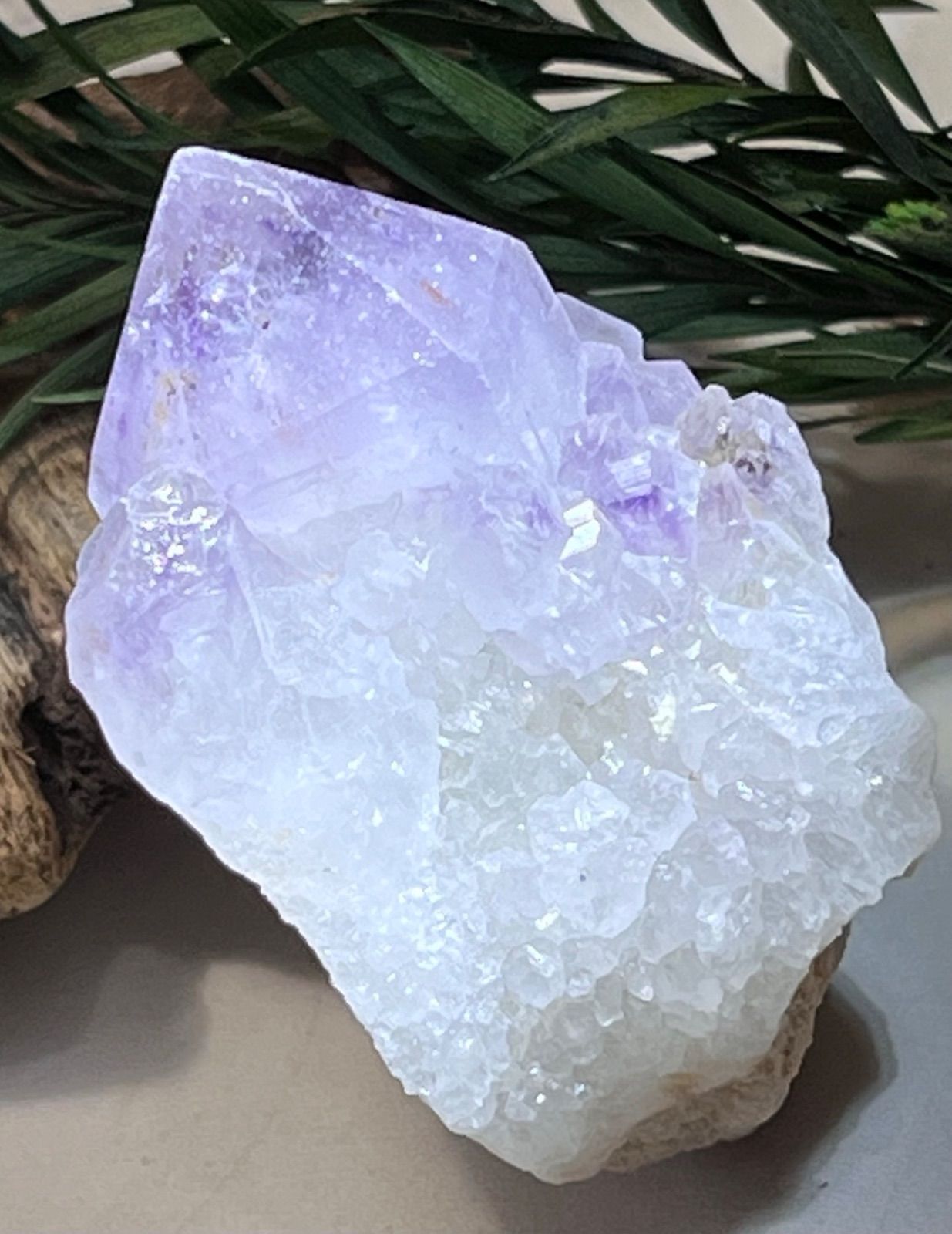 トライゴーニック✨虹入り カクタスアメジスト サボテン水晶 ラフ