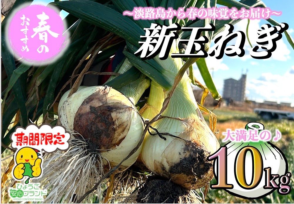 大豊作につき特別価格でご提供‼️  《兵庫安心ブランド取得》産地