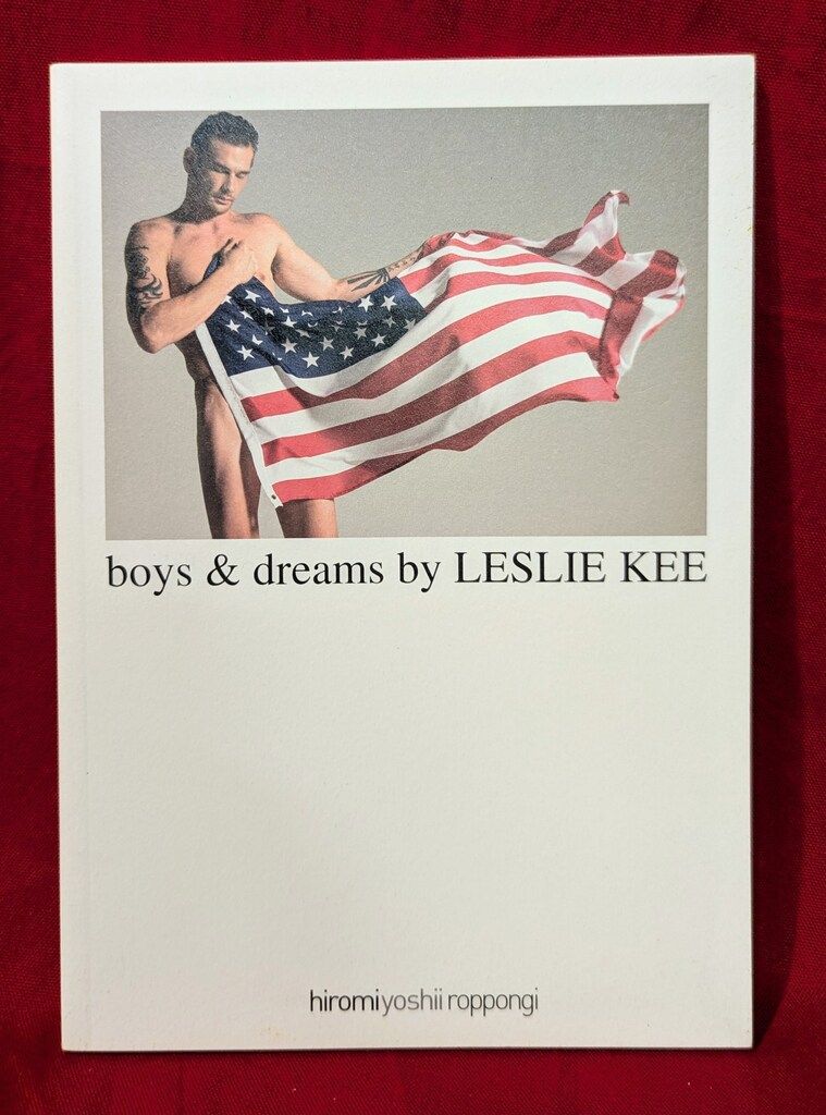 アート・デザイン・音楽 boys & dreams by LESLIE KEE 希少絶版本