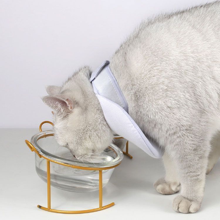 エリザベス 頭の上半分がないハーフタイプ