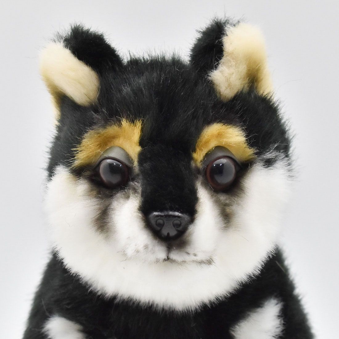 黒柴kazu 黒柴kazu 黒柴kazu 2022 Kawasaki ZX636, K | JKBZXJH19NA013262 | Bid