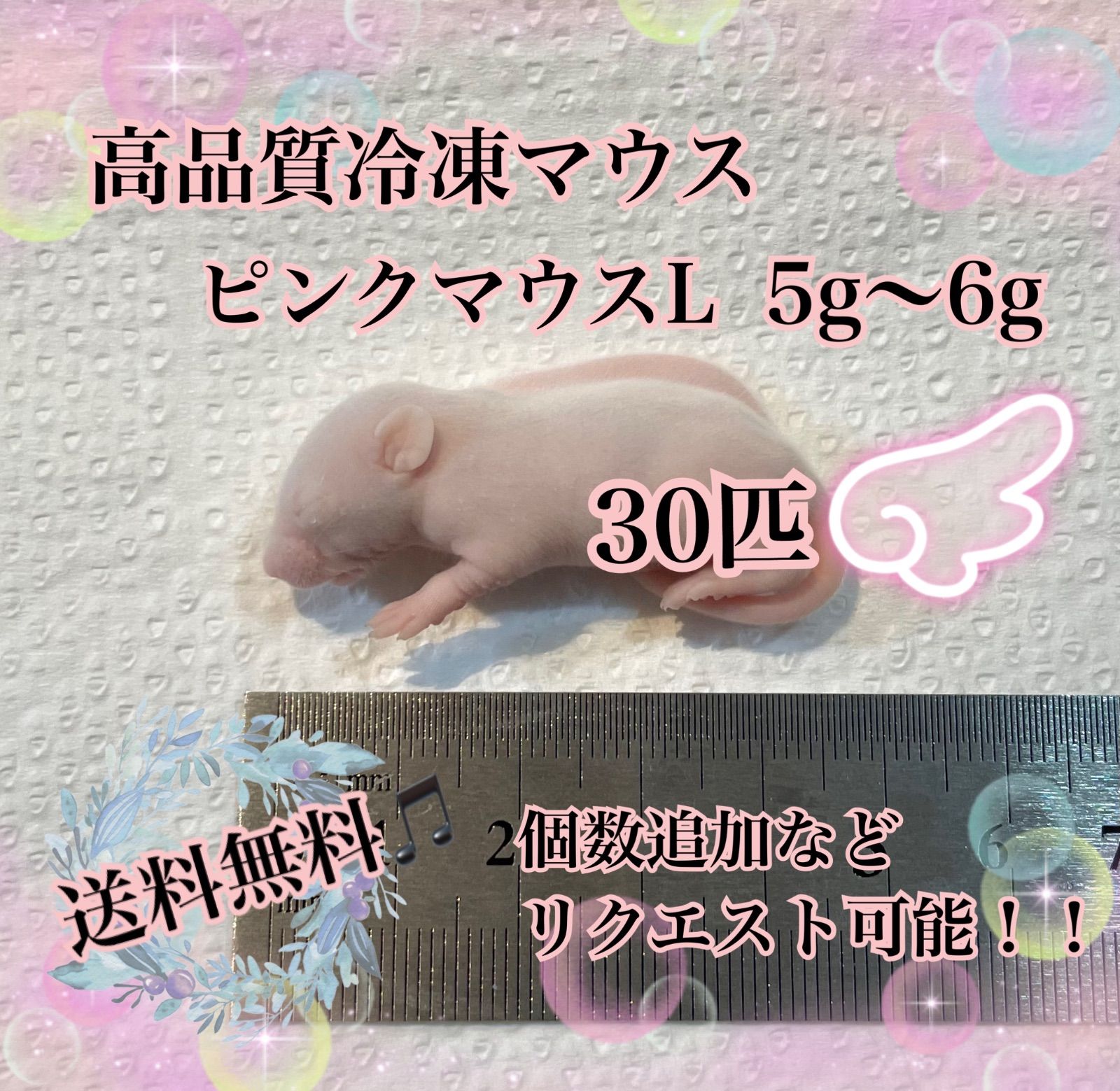 送料無料 冷凍マウスアダルトL30匹