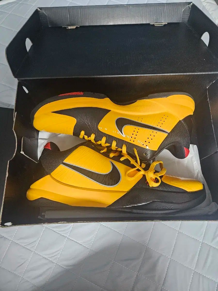 コービー5 プロトロ ブルース リー 285 ほぼ