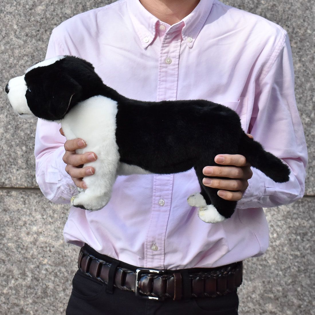 HANSA 5663 ボーダーコリー(仔)39 全長：39cm BORDER COL BH5663 子犬 