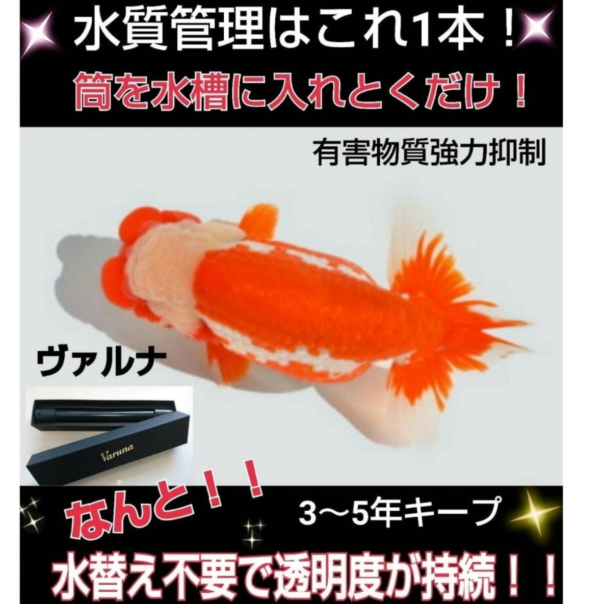 水槽の水が綺麗になります【ヴァルナミニ15㎝】水替え不要で透明度を