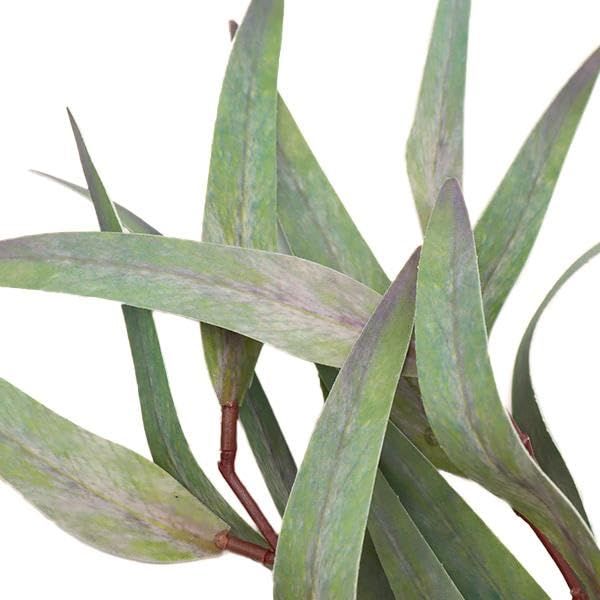 3営業日で発送 アスカ Asca ユーカリバンチ 1束3本 グリーンパープル A-44037053P 入数 12