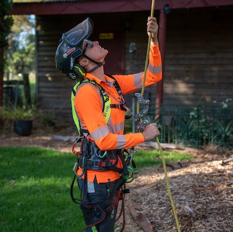 Reecoil AUDAX™ 1500 Hydration Harness GEN2 チェストハーネス ハイドレーション ツリークライミング アーボリスト ツリーケア (イエロー) Reecoil AUDAX™ 1500 Hydration Harness GEN2 チェストハーネス ハイドレーション ツリークライミング アーボリスト ツリーケア (イエロー)