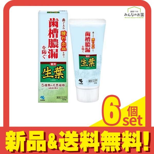 生葉(しょうよう) 100g 6個セット まとめ売り