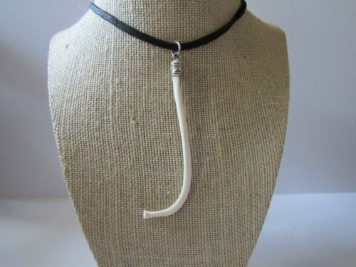 大量入荷！ アライグマ（ラクーン） 陰茎骨（ペニスボーン）大 - メルカリ