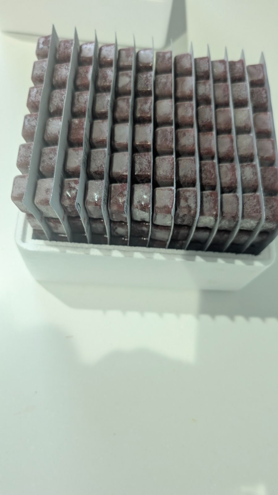 冷凍アカムシ 100ｇ24ブロック×12枚