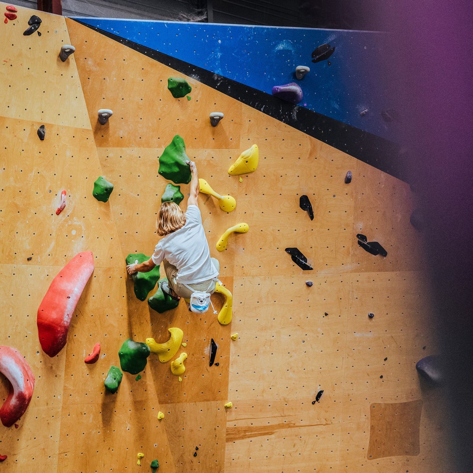 ★ワンワン 愛くるしいスピッツ サモエドYY Vertical ワイワイバーチカル チョークバッグ アニマル クライミング ボルダリング Climbing YY Vertical〉Chalk Bag Samoyed | PUMP ONLINE STORE