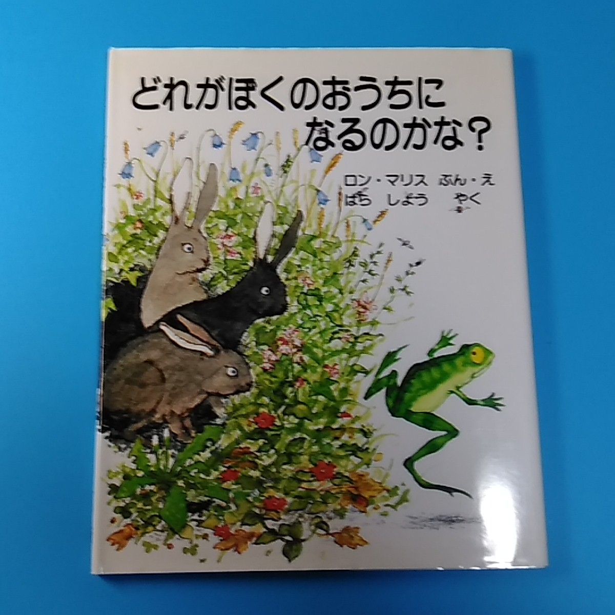 どれがぼくのおうちになるのかな?/はらしょう ロン・マリス☆絵本