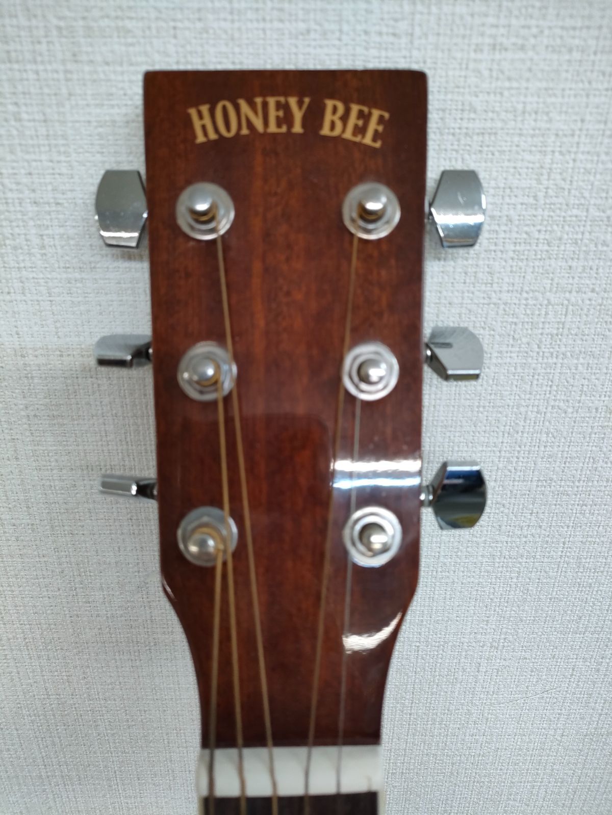 HONEY BEE アコースティックギター フォークギタータイプ F-15M/N
