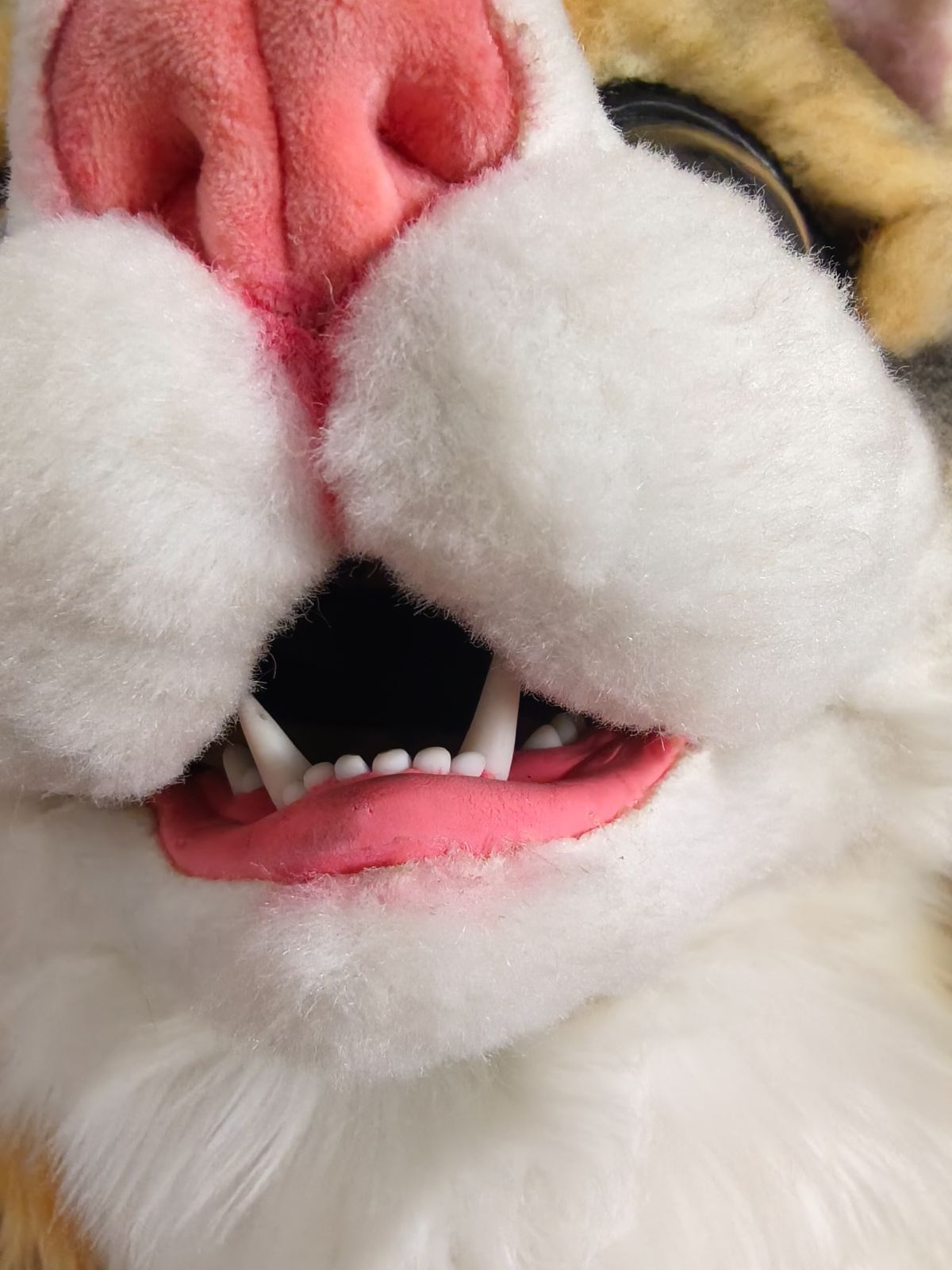 Foes weasel フレーム 難あり