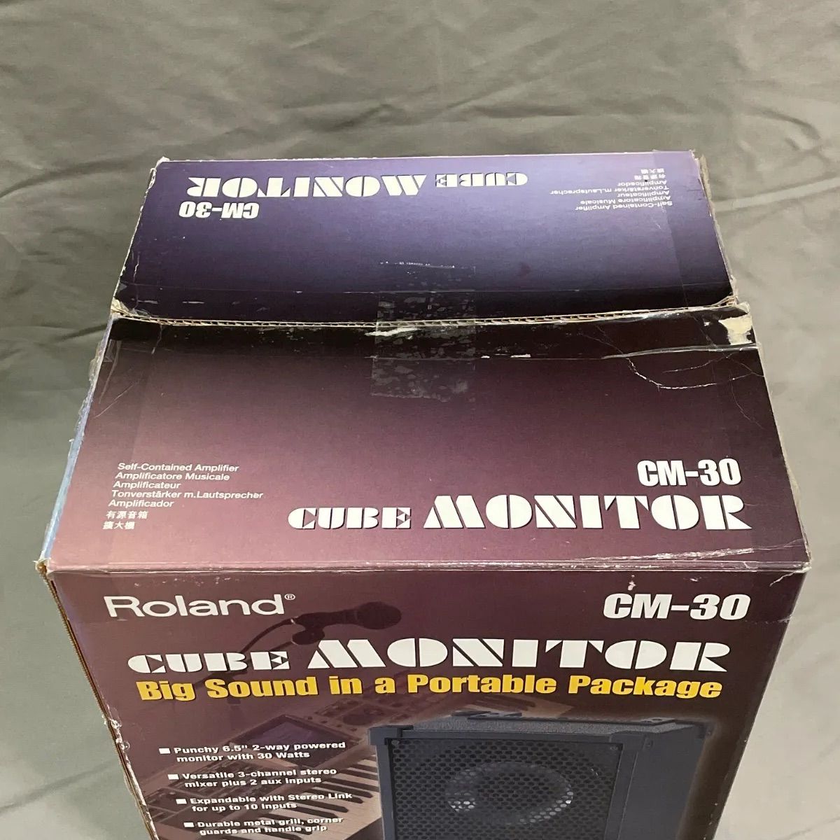 Roland CUBE MONITOR CM-30 モニタースピーカー?