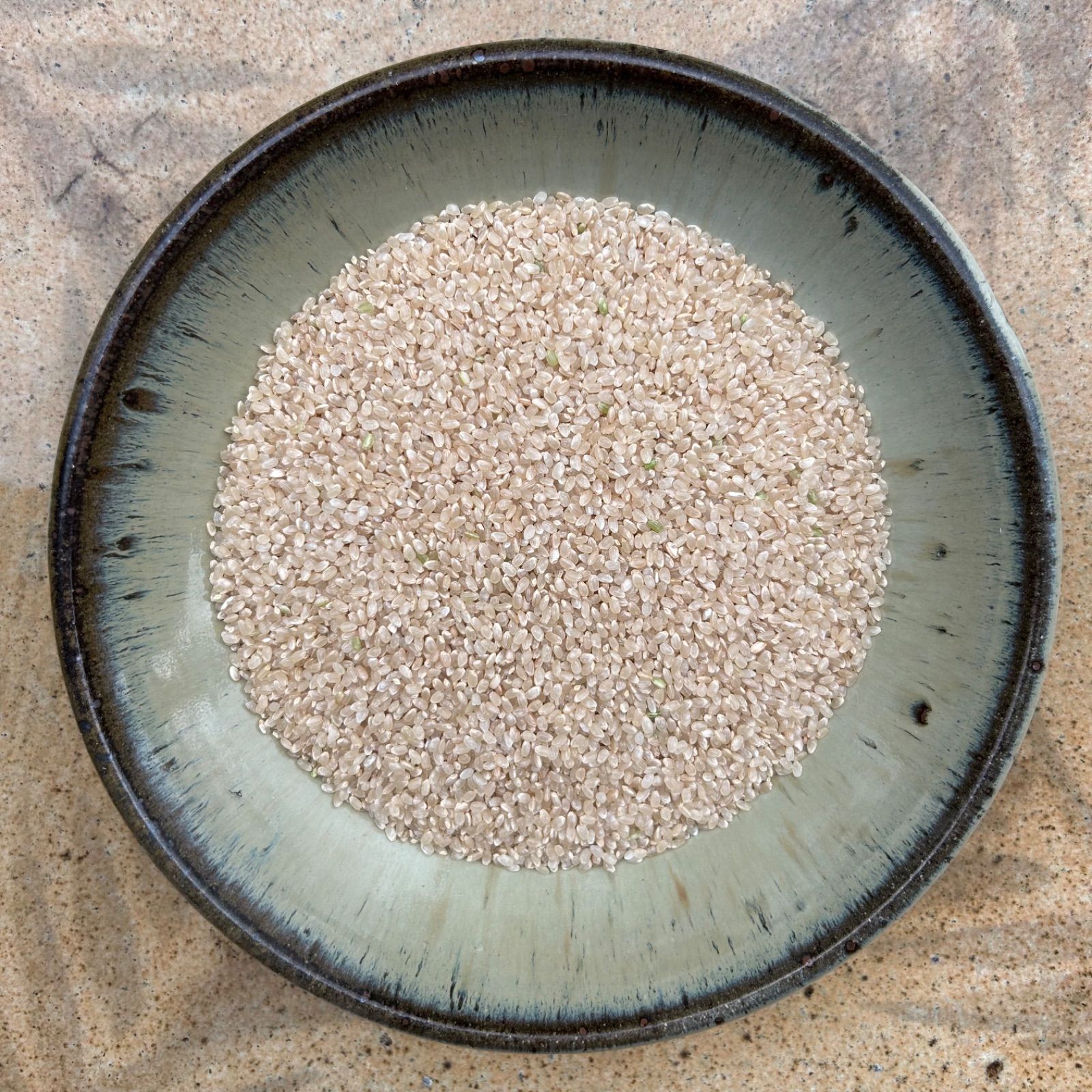 令和6年度産／クリムソンクローバー・有機栽培コシヒカリ／5kg／【希望  